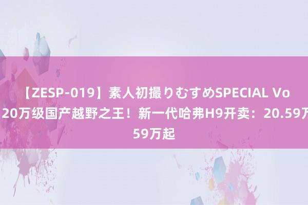 【ZESP-019】素人初撮りむすめSPECIAL Vol.3 20万级国产越野之王！新一代哈弗H9开卖：20.59万起