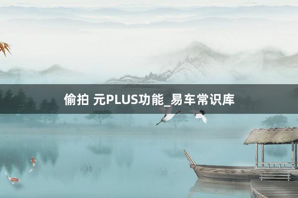 偷拍 元PLUS功能_易车常识库