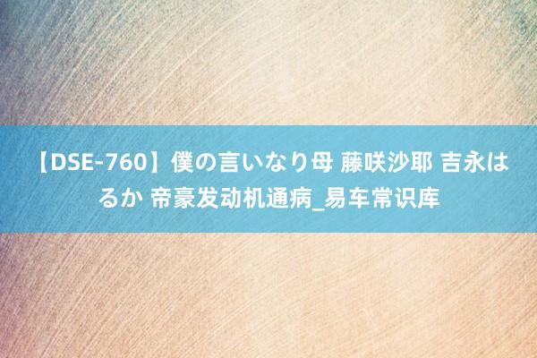 【DSE-760】僕の言いなり母 藤咲沙耶 吉永はるか 帝豪发动机通病_易车常识库