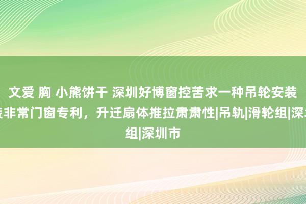 文爱 胸 小熊饼干 深圳好博窗控苦求一种吊轮安装安装非常门窗专利，升迁扇体推拉肃肃性|吊轨|滑轮组|深圳市