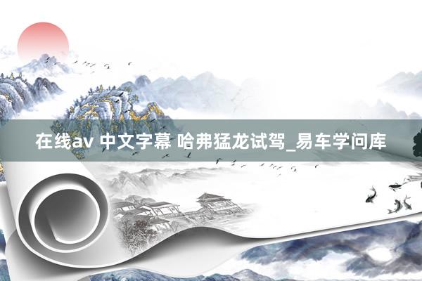 在线av 中文字幕 哈弗猛龙试驾_易车学问库