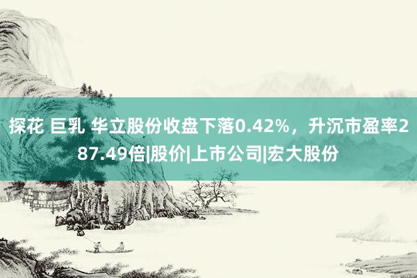 探花 巨乳 华立股份收盘下落0.42%，升沉市盈率287.49倍|股价|上市公司|宏大股份