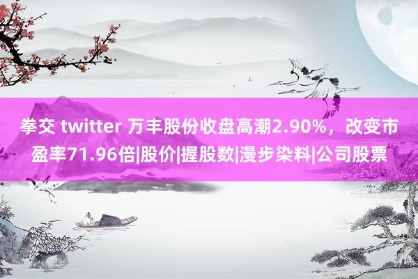 拳交 twitter 万丰股份收盘高潮2.90%，改变市盈率71.96倍|股价|握股数|漫步染料|公司股票